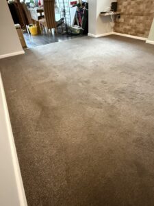 After Dog Urine clean (Medium)