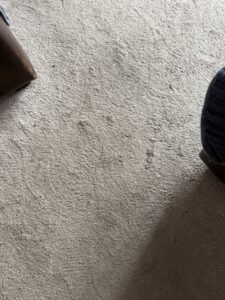 After photo (Medium)