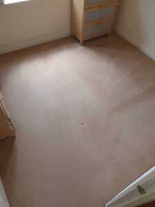 Bedroom - AFTER (1) - Carpet Cleaning