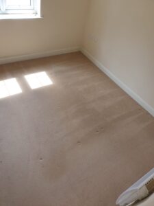 Bedroom - AFTER (2) - Carpet Cleaning