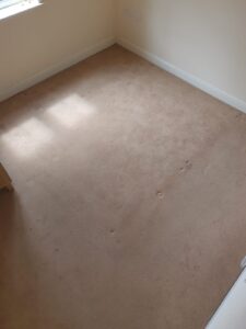 Bedroom - BEFORE (2) - Carpet Cleaning