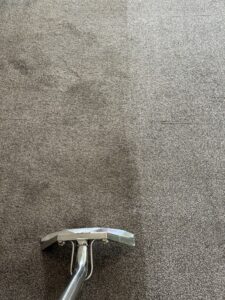 Before & After Lounge (Medium)