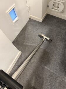 Carpet Clean work in progress (Medium)