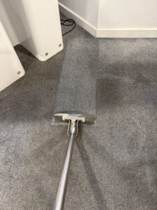 Carpet Clean work in progress8 (Medium)