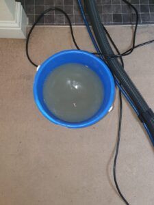 Carpet Cleaning - Dirty Water