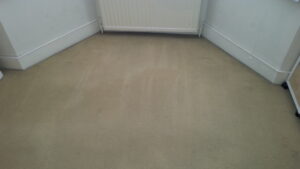 End of Tenancy Carpet Cleaning Bedroom - AFTER