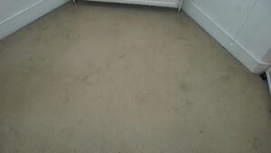 End of Tenancy Carpet Cleaning Bedroom - BEFORE