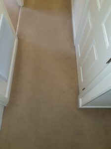 Hallway - BEFORE - Carpet Cleaning