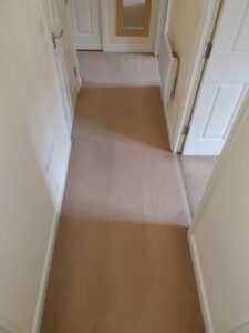 Hallway - DURING - Carpet Cleaning