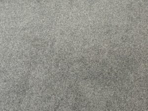 Kitchen Area - carpet looking (Medium)