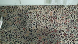 Rug Cleaning - During (2)
