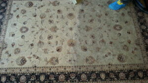 Rug Cleaning - During (3)